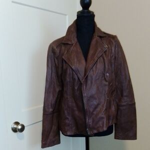 Hinge Dark Brown Leather Jacket